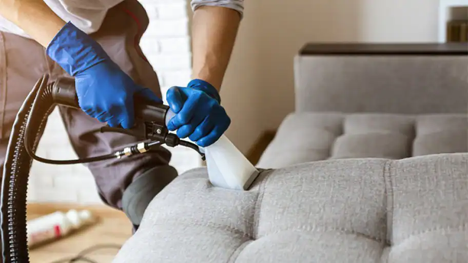 Upholstery Cleaning Services in Boston MA