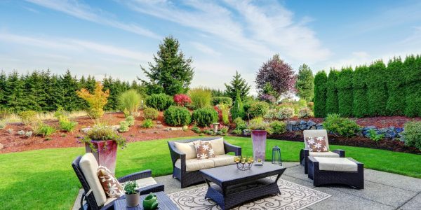 Transforming Dreams into Reality: A Guide to Finding the Perfect Backyard Renovation Contractor